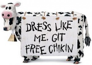 cfa_main_cow